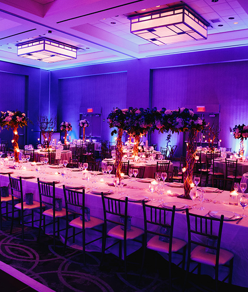 Event Management & Conferences